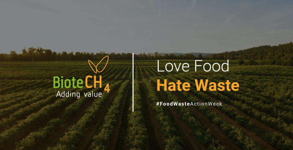 love food hate food waste
